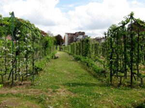 Lille_vauban_jardin_arboriculture