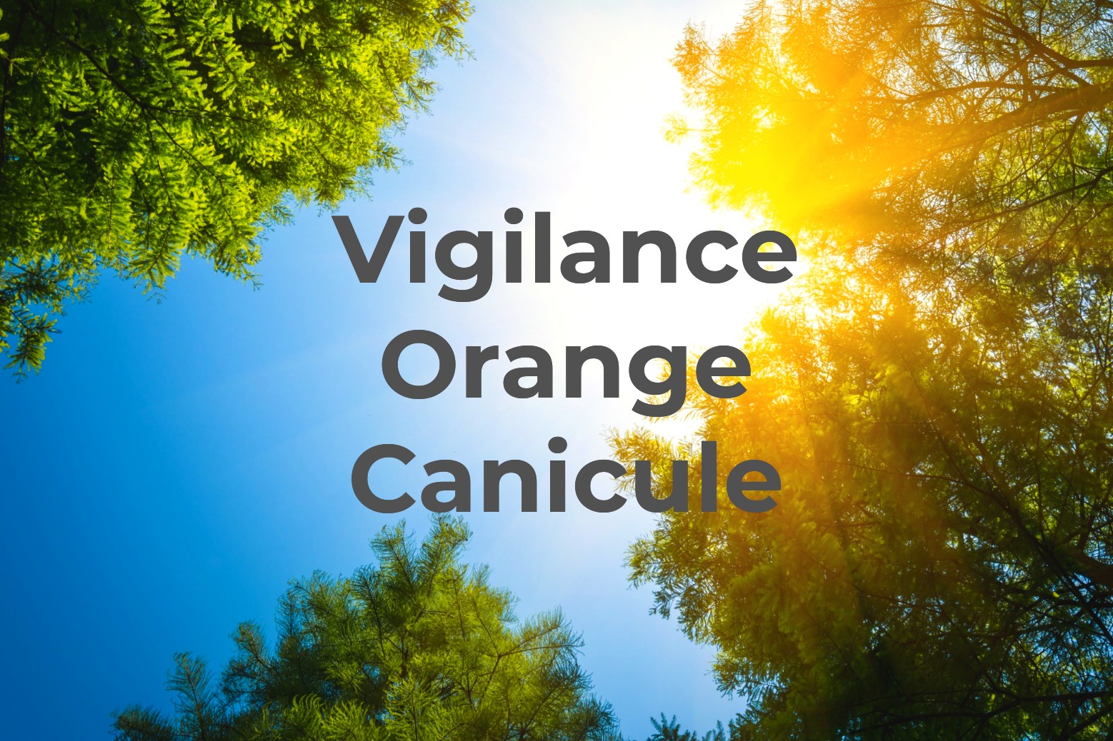 Vigilance orange : Canicule