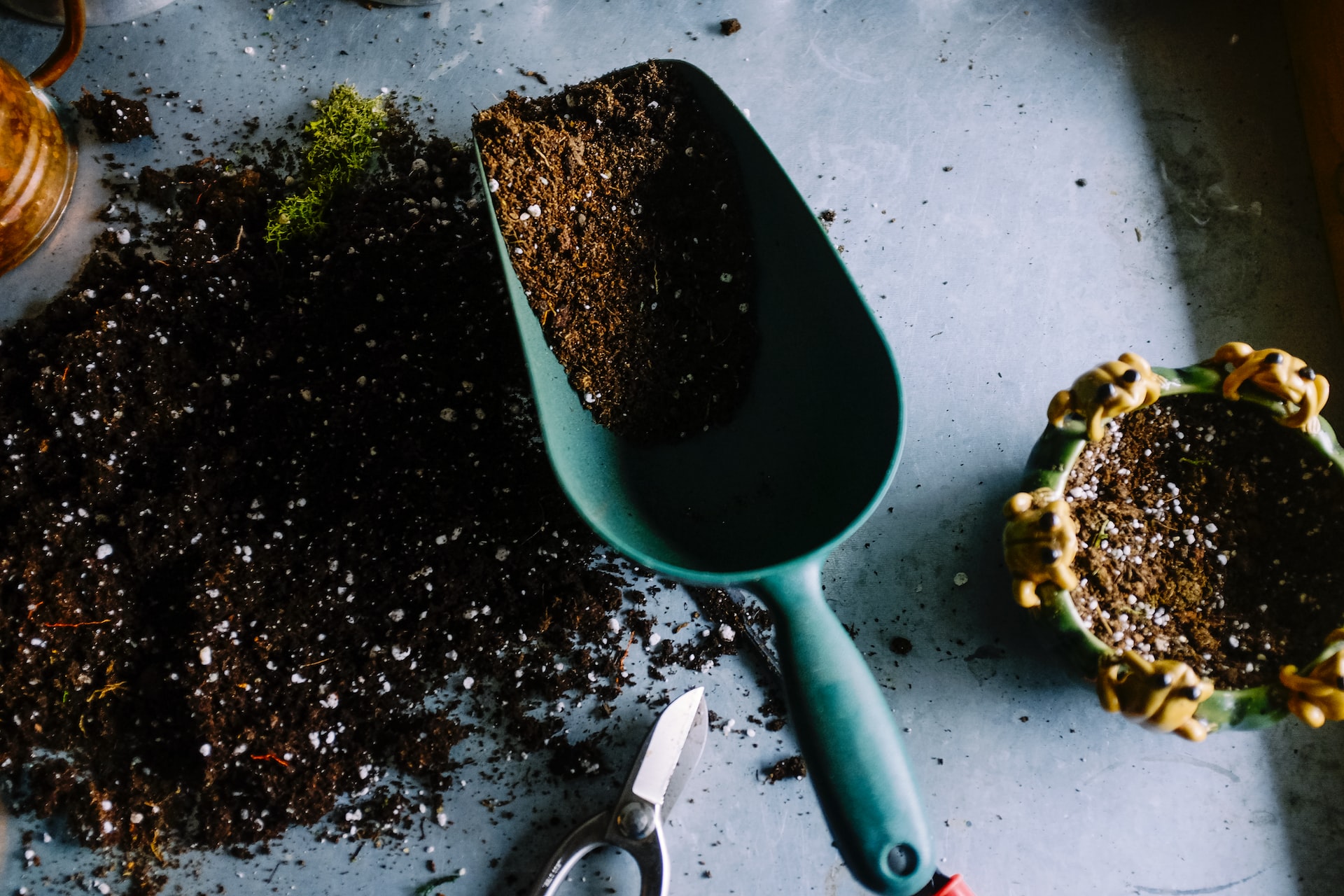 Matinées découverte Compost
