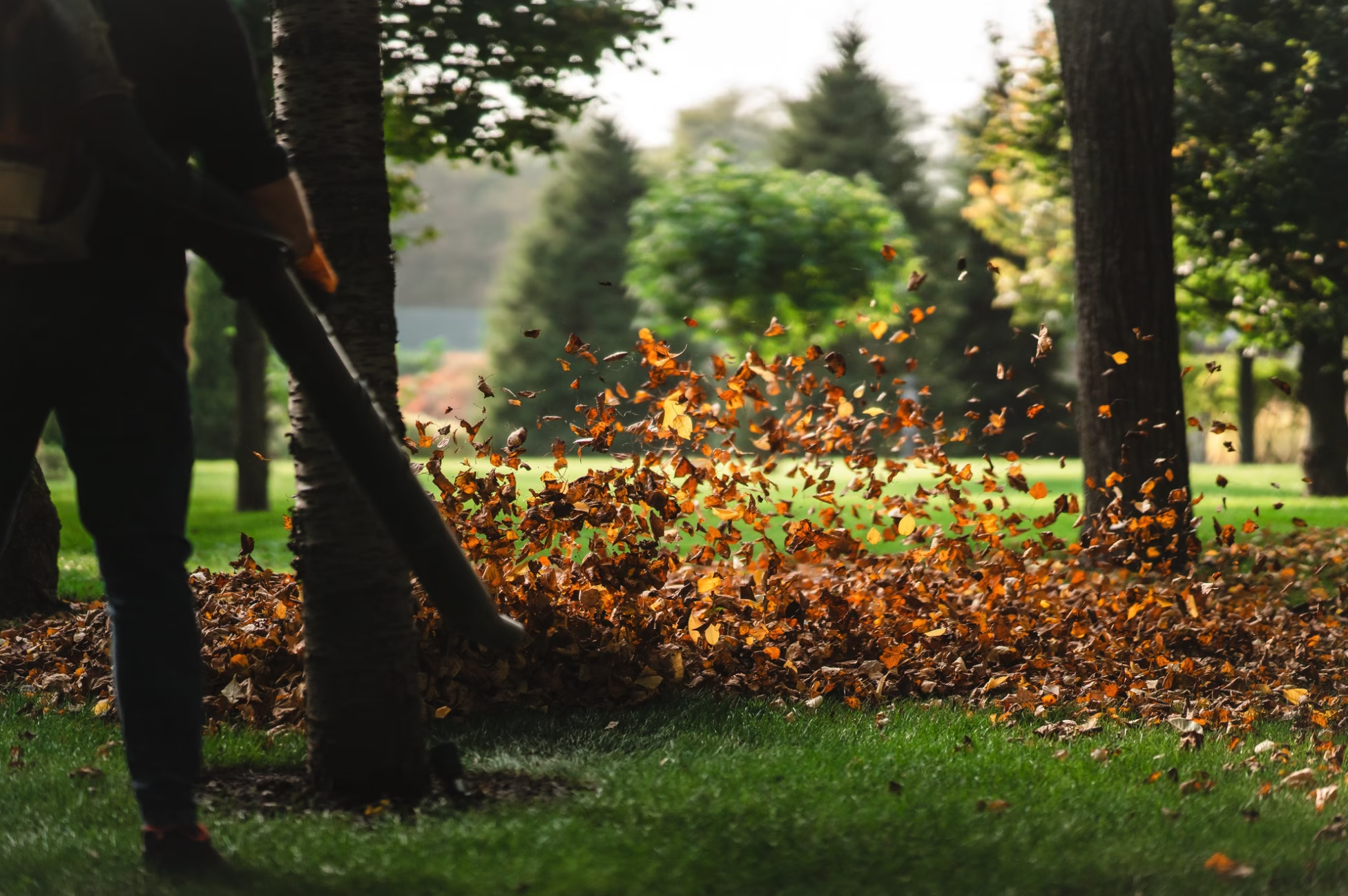Un trésor dans votre jardin !