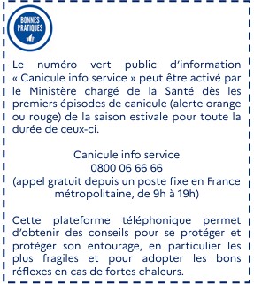 CANICULE
